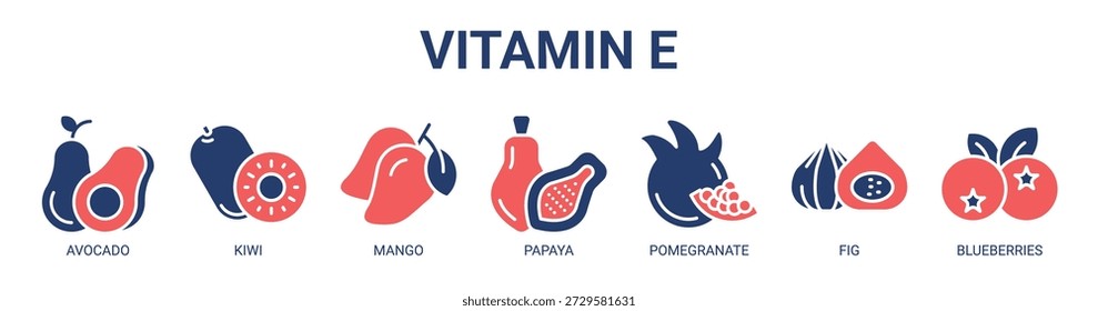 Vitamin E Web-Banner Symbol Vektorgrafik-Konzept mit Symbol von Avocado, Kiwi, Mango, Papaya, Granatapfel, Feigen und Heidelbeeren.
