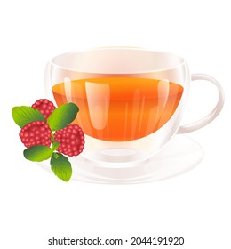 Vitamin fruit homemade tea with berries and herbs for colds vector illustration. Double wall glass cup of hot drink isolated on white background.
