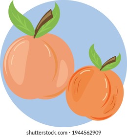 Melocotón de frutas de vitamina. Colección de vectores para el diseñador.