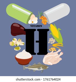 Vitamin H rich food vector illustration on the blue background.