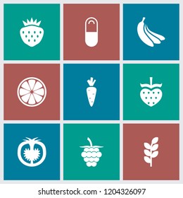 Vitamin icon. collection of 9 vitamin filled icons such as strawberry, tomato, pill, wheat, carrot on fork, raspberry, lemon. editable vitamin icons for web and mobile.