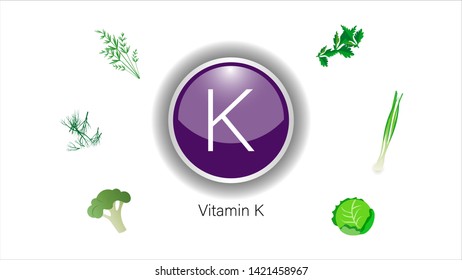 Vitamin K sources vector illustration