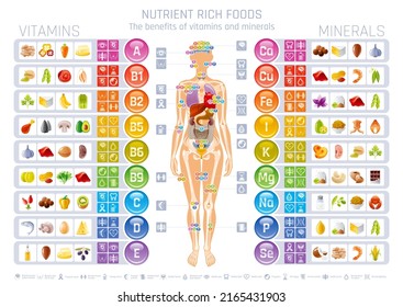 Vitamin, mineral and human body infographic. Nutrition food classification. Magnesium calcium potassium selenium phosphorus zinc mineral, A B C D E vitamin. Healthy supplement for pregnancy, immunity