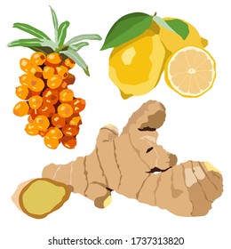 Vitamin mix. Lemon. Ginger. Sea buckthorn. Vector stock graphics