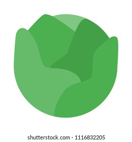 Vitamin Packed Cabbage