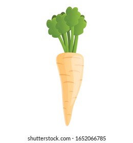 Vitamin parsnip icon. Cartoon of vitamin parsnip vector icon for web design isolated on white background