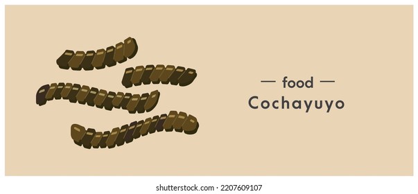Vitamin rich food seaweed cochayuyo, bull kelp. Durvillaea antarctica.