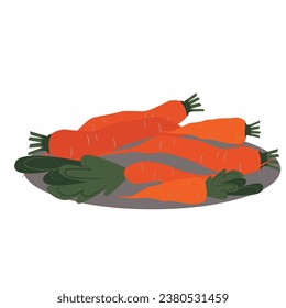 Vitamin set of carrots. Vector image carrot orange.