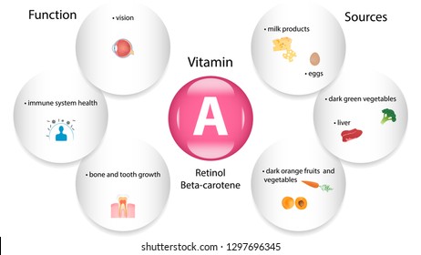 Vitamin A vector design. Vitamin A function and sources. Beta-carotene, retinol