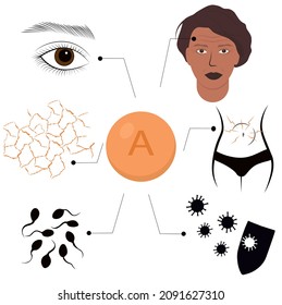 Vitamin A vector stock illustration. Poster the effect of trace elements on the human body. Infographics. Dry skin, vision, immunity, fertility. Isolated on a white background.