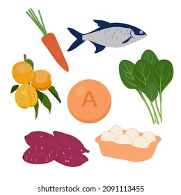 vitamin A vector stock illustration. Spinach, carrot, egg, sweet potato, fish. Products with a high content of retinol and beta keratin. Isolated on a white background.