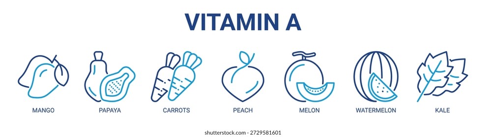 Vitamin A web banner icon vector illustration concept with icon of mango, papaya, carrots, peach, melon, watermelon, and kale.