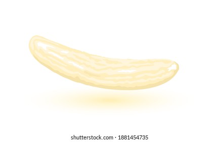 Vitaminized tropical fruit, healthy nutrition and sweet taste. Vector ripe exotic, fresh and juicy banana. Eco and organic product for eating idea isolated on white background