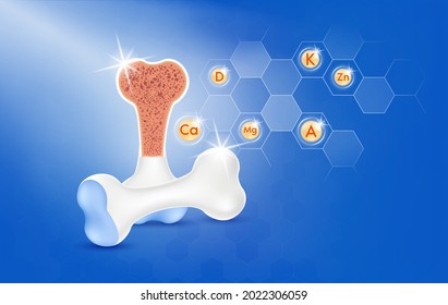 Vitamins for bone  Essential nutrients for bone health main human organs and molecular  Calcium  Zinc  Menadione   Vitamin D  A  K  Medical   health concepts  3D vector EPS10