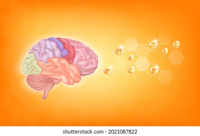 Vitamins For Brain. Essential Nutrients For Brain Health Main Human Organs With Molecular. Vitamin C, B, PP, Folic Acid, That Helps Treat Symptoms Alzheimer's, Dementia And Depression. 3D Vector EPS10