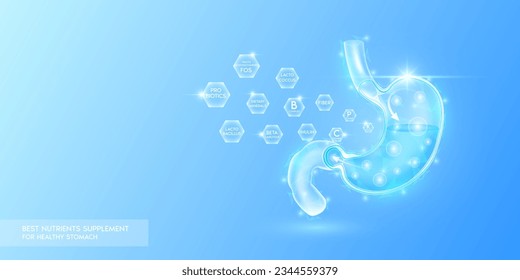 Vitamins dietary minerals with probiotics in hexagon absorbed into the stomach. Best nutrients supplement for healthy stomach. Health care medical innovation. Human organ translucent low poly. Vector.