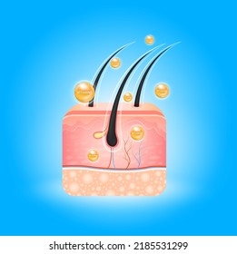 Vitamins hair care over skin cells and Collagen solutions hyaluronic acid. Are used for beauty advertisements. Medical science concept. 3D Realistic vector EPS10 illustration.