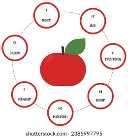 Vitamins and minerals of apple. Infographics about nutrients in apple fruits. High quality vector illustration about apple, vitamins