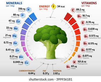 Vitamins and minerals of broccoli flower head. Infographics about nutrition facts in broccoli cabbage. Vector illustration