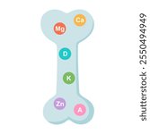 Vitamins and minerals calcium zinc and magnesium absorbed into the bone cartilage. Human skeleton anatomy.