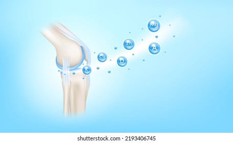 Vitamins   minerals calcium zinc   magnesium absorbed into the bone cartilage  Human skeleton anatomy model  Care bone knee joint  Can be used in food advertising media  3D vector EPS10 
