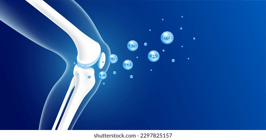 Vitamins minerals calcium zinc   magnesium absorbed into the bone cartilage  Healthy human skeleton anatomy isolated blue background  Care bone knee joint  Realistic 3D vector 