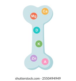 Vitaminas e minerais cálcio, zinco e magnésio absorvidos na cartilagem óssea. Anatomia do esqueleto humano.