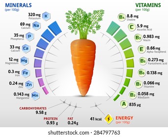 Vitamins and minerals of carrot tuber. Infographics about nutrients in carrot. Vector illustration about vegetables & agriculture, nutrition and health food, diet