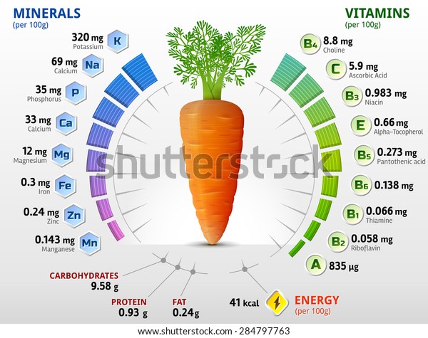 ニンジン塊茎のビタミンやミネラル にんじんの中の栄養素に関するインフォグラフィック ビタミン ニンジン 野菜 健康食品 栄養 食事などの定性ベクター イラスト のベクター画像素材 ロイヤリティフリー