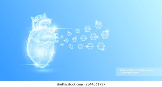 Vitamins minerals Coenzyme Q10 and Monounsaturated Fatty Acid in hexagon absorbed into the heart. Best nutrients supplement for healthy heart. Health care medical. Human organ translucent. Vector.