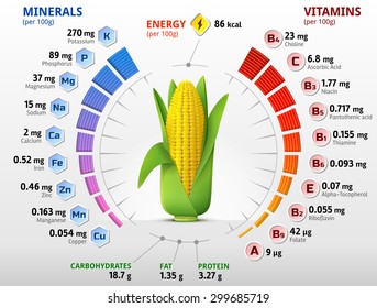 Vitamins and minerals of corn cob. Infographics about nutrition facts in ear of maize. Vector illustration