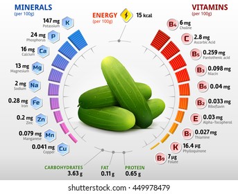 Vitamins and minerals of cucumber fruit. Infographics about nutrition facts in cuke with peel. Vector image