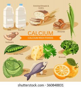 Vitamins and Minerals foods Illustration. Vector set of calcium rich foods. Calcium. Milk, soymilk, broccoli, oranges, soybeans,sardines, yogurt, okra, spinach, cheese,green beans and other