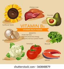 Vitamins and Minerals foods Illustration. Vector set of vitamin rich foods. Vitamin B5. Broccoli, chicken liver, avocado, sunflower seeds, cauliflower, tomatoes, mushrooms, salmon