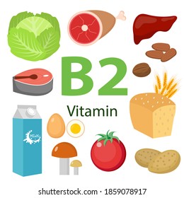 Vitamins and Minerals foods Illustrator set 7.Vector set of vitamin rich foods. Vitamin B2-milk, egg, spinach, oysters, cheese, liver, mushrooms and broccoli