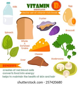 Vitamins and Minerals foods Illustrator set 7.Vector set of vitamin rich foods. Vitamin B2-milk, egg, spinach, oysters, cheese, liver, mushrooms and broccoli