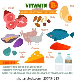 Vitamins and Minerals foods Illustrator set 11.Vector set of vitamin rich foods. Vitamin B12-meat, poultry, nuts,oysters,clam, milk, soy milk, eggs, fish and cheese