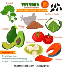 Vitamins and Minerals foods Illustrator set 9.Vector set of vitamin rich foods. Vitamin B5-broccoli, chicken liver, avocado, sunflower seeds, cauliflower, tomatoes, mushrooms and salmon