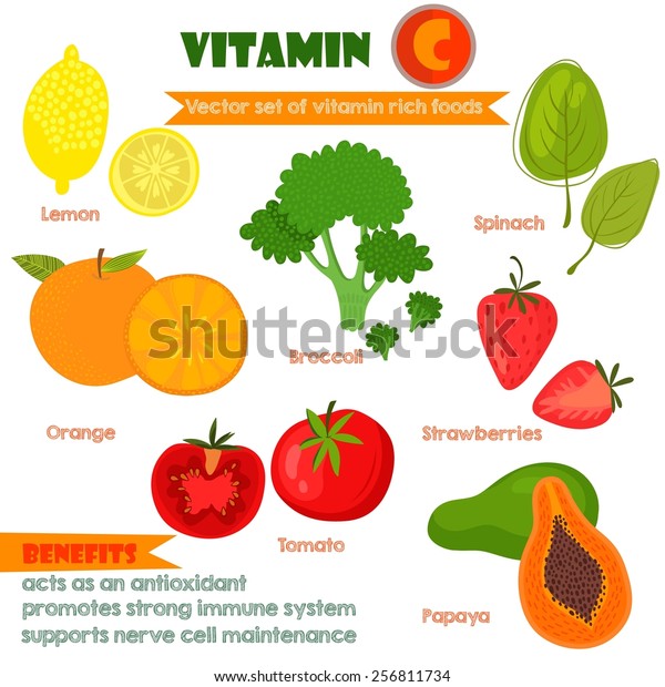 ビタミンとミネラルの食べ物イラストレーター1 ビタミンの豊富な食べ物のベクター画像セット ビタミンc レモン ブロッコリー オレンジ ホウレンソウ イチゴ トマト パパイヤ のベクター画像素材 ロイヤリティフリー