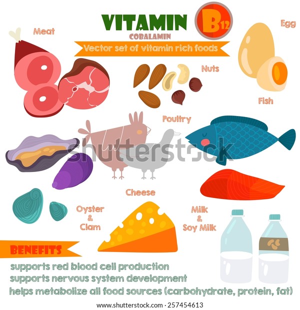 Vitamins Minerals Foods Illustrator Set 11vector Stock Vector (Royalty ...