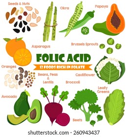 Vitamins And Minerals Foods Set 14.Vector Set Of 12 Foods Rich In Folate. Folic Acid-nuts, Seeds, Asparagus, Okra, Oranges, Beans, Peas, Lentils, Avocado,beets, Broccoli And Cauliflower