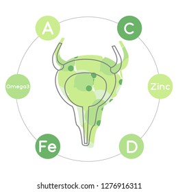 Vitamins and minerals for healthy bladder. Micro and macro elements and vitamins: C, Fe, A, D, Zinc and Omega 3 and other vector elements. Abstract illustration in green and yellow colors.