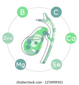 Vitamins and minerals for healthy gallbladder. Micro and macro elements and vitamins: B, C, Ca, Zinc, Mg, Se and other vector elements. Abstract illustration in green colors.