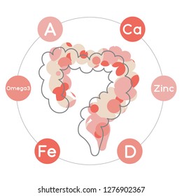 Vitamins and minerals for healthy intestines. Micro and macro elements and vitamins: A, D, Fe, Ca, Zinc and Omega 3 and other vector elements. Abstract illustration in red and pink colors.