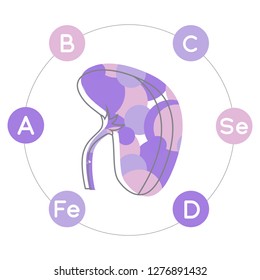 Vitamins and minerals for healthy spleen. Micro and macro elements and vitamins: A, B, C, D, Se, Fe and other vector elements. Abstract illustration in violet colors.