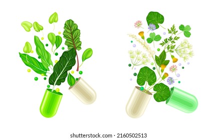 Vitamins and supplements. Open capsules with herbs vector illustration