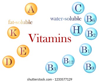 Vitamins vector. Essential vitamins in food. Healthy nutrition for human body