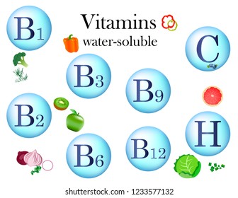 Vitamins vector. Essential vitamins in food. Healthy nutrition for human body