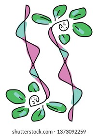 Vitrage flowers with green-colored leaves are pretty and beautiful vector color drawing or illustration 