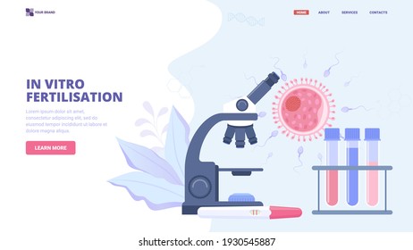 In vitro fertilisation flat vector illustration. Concept for medical clinic, hero image, banner, landing page, web page, site design. Ovulation, conception, artificial insemination, pregnancy support.